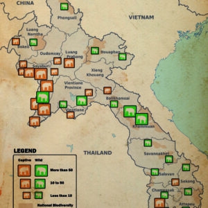 Laos Elephant Population